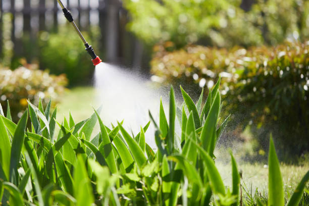 24/7 Emergency Ant Control experts in Dublin, OH