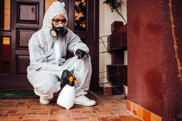 Reliable Ant Control contractor in Dublin, OH by Show Me Pest Control