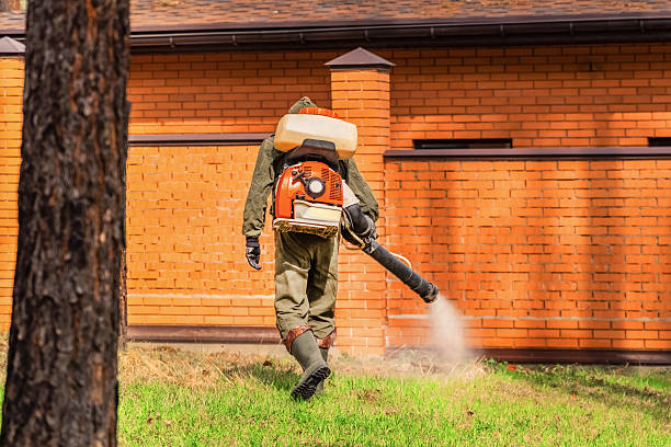 Top rated local Ant Control specialists in Dublin, OH